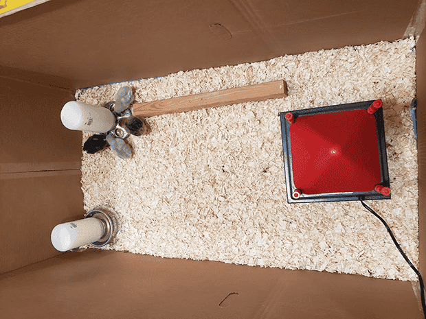 Chick brooder box